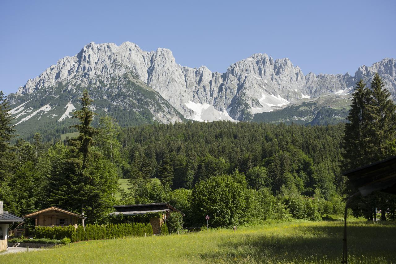 Otto Steiner Appartements Pension Ellmau & Wilder Kaiser Екстериор снимка