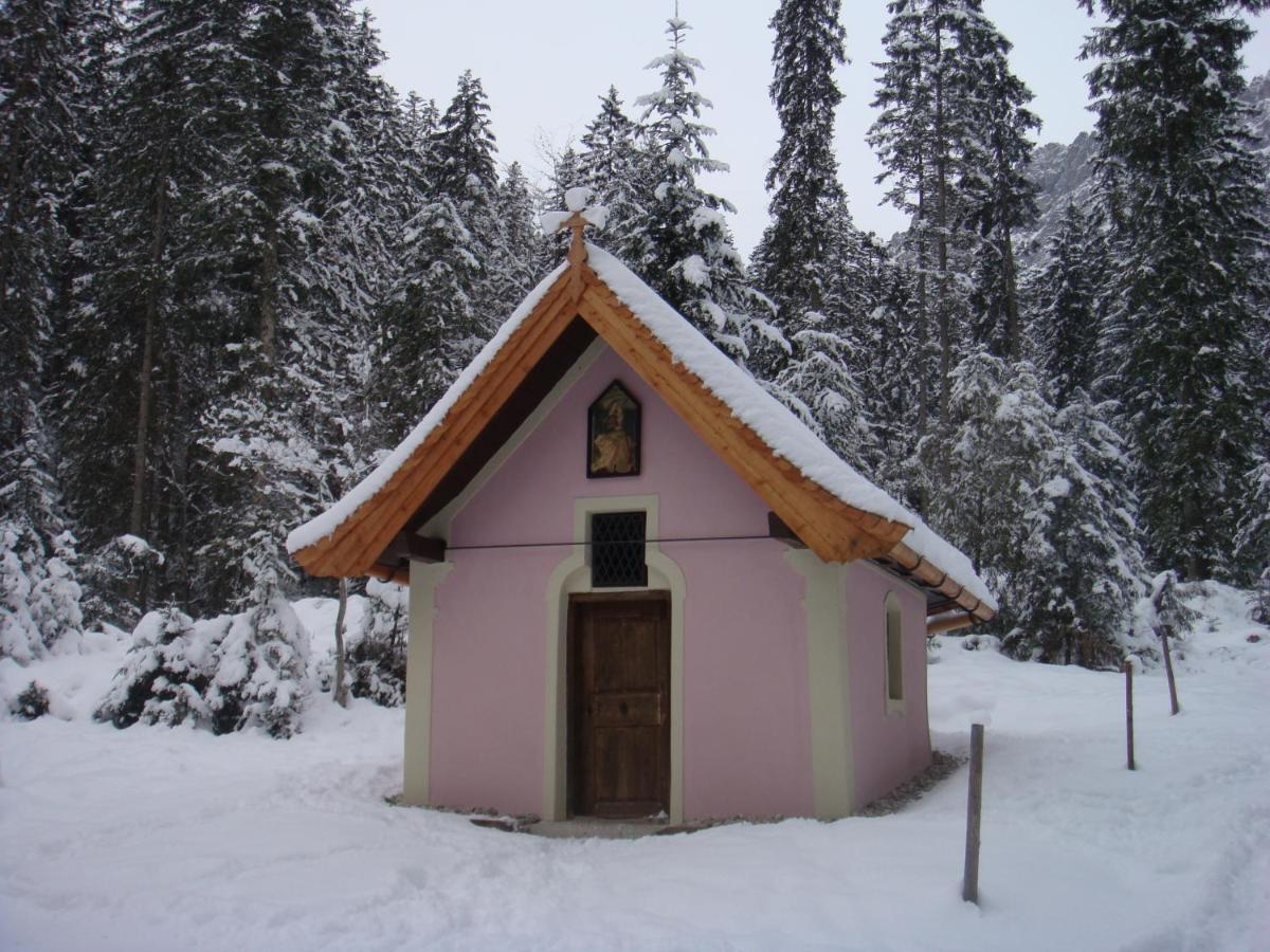 Otto Steiner Appartements Pension Ellmau & Wilder Kaiser Екстериор снимка