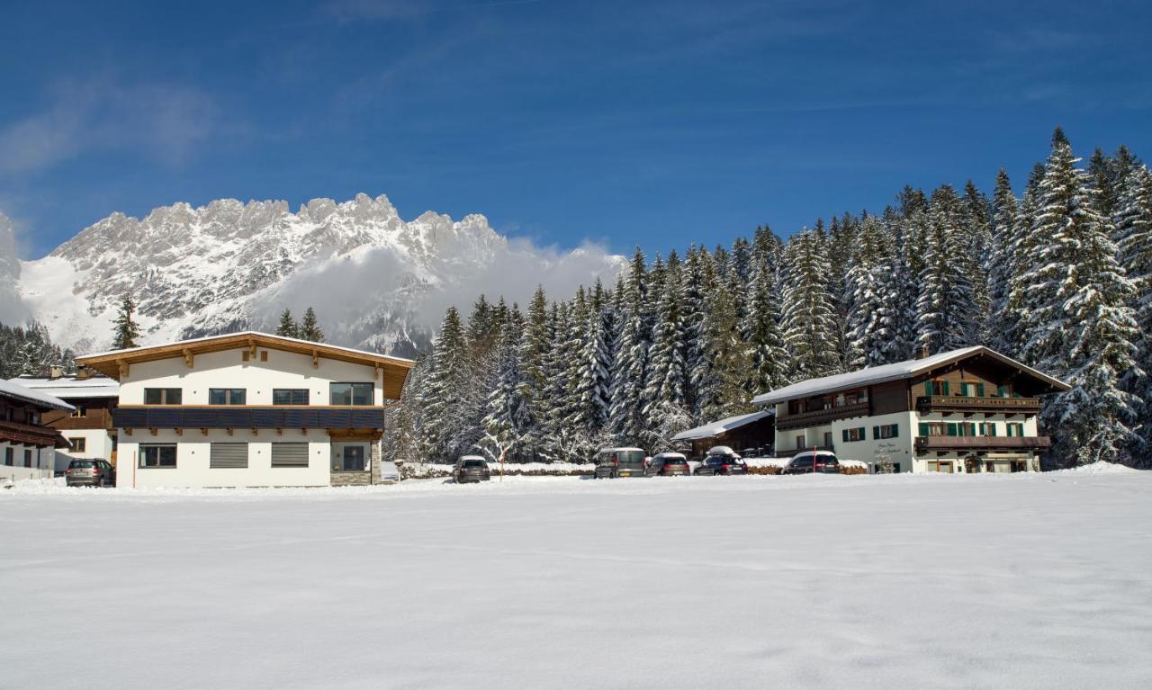 Otto Steiner Appartements Pension Ellmau & Wilder Kaiser Екстериор снимка